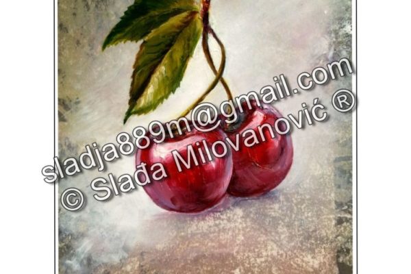 višnja 01 višnja 01